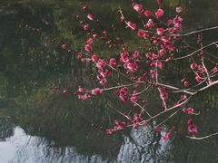 -中国茶叶博物馆(双峰馆区)