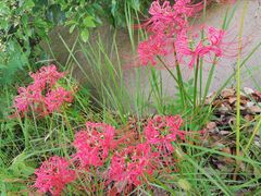 -安徽工业大学(秀山校区)