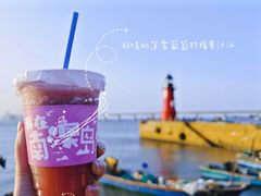 -南澳岛打卡果汁冰公司