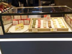-西树泡芙(凯德晶品店)