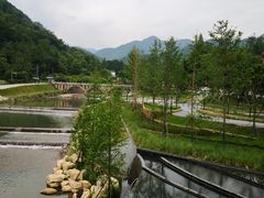 -四川省成都市彭州市白鹿镇