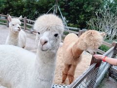 -珠海海泉湾神秘岛亲子乐园