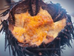 -海胆小馆(东北水饺·春柳店)