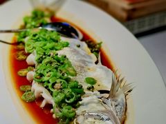 鲜椒白鱼-桂满陇·海市蜃楼·黑金(国金店)