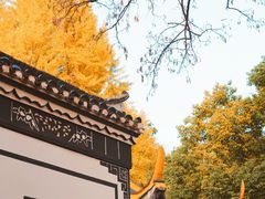 -包公祠
