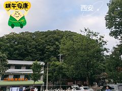 -朱雀国家森林公园