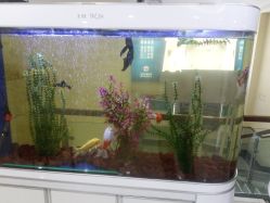 -成都军建医院·疤痕诊疗中心