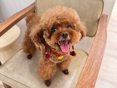 -爱侣宠医·鹦鹉专科·小型哺乳类·异宠专科(灵石路店)