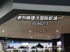 -谢列梅捷沃国际机场