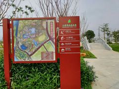 -王借岗森林公园