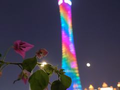 -珠江夜游广州塔·中大码头