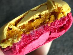 -视博茶点(美狮美高梅店)