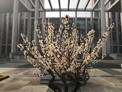 -无锡市市民中心