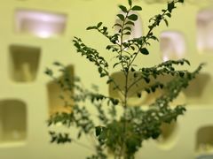 -伊斯坦布尔土耳其清真咖啡餐厅