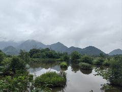 -大九湖