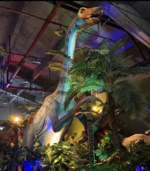 -恐龙探索乐园(磁器口店)