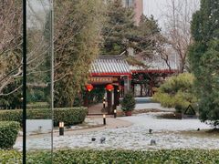 -咖啡CHA自助餐厅(香格里拉饭店)