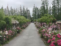 -上海长兴岛郊野公园