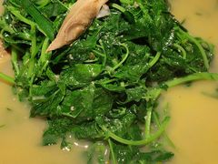 河蚌秧草-周家二小姐的菜·扬州菜·香炒蟹·狮子头(江都金鹰店)