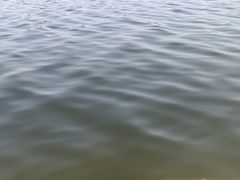-咸阳湖景区