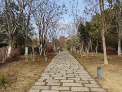 -武汉园博园(武汉自然博物馆)