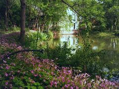 -西溪国家湿地公园