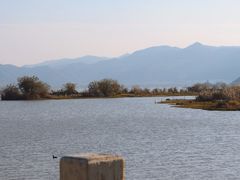 -东钱湖旅游度假区
