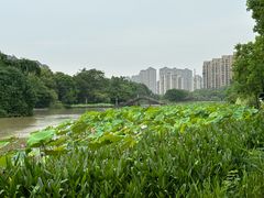 -金山公园