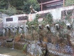 -藏龙百瀑风景区