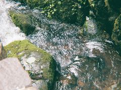 -MOJ coffee(瓯海泽雅水碓坑店)