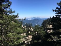 -内乡宝天曼生态旅游区