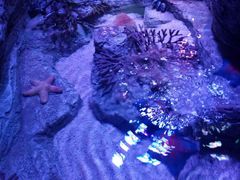 -沈阳海洋探索中心