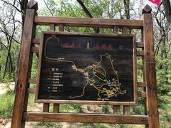 -高尔山公园