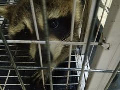 -平行世界·猫咖(首经贸店)