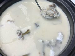 白汤河豚-永丰源大酒店(人民中路店)