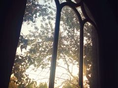 iphone_upload_pic-1901 Cafe(西四店)