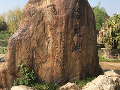 门面-洛龙公园