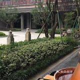 加点儿蒜泥、小葱、小米椒、香菜，我喜欢韭花酱和酱豆腐