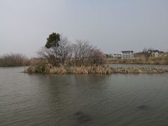 -梁鸿国家湿地公园