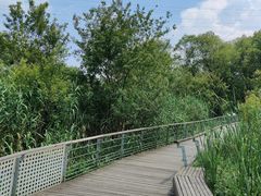 -西湖风景区-江洋畈生态公园