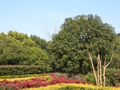 -上海吴淞炮台湾国家湿地公园