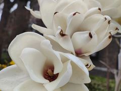 -睦南公园