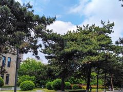 -东北大学(南湖校区)