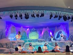 -帝企鹅自助餐厅•儿童岛•真企鹅(长隆企鹅酒店)