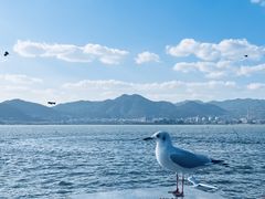 -海埂大坝
