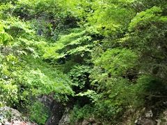 -黄山翡翠谷景区