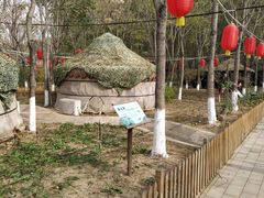 -草根堂农场