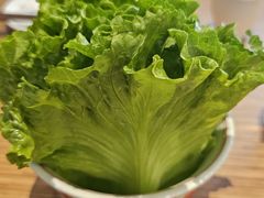 -金掌勺·锅包肉(广渠门店)