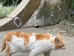 -广州兰圃