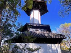 -上海佘山国家森林公园天马山园